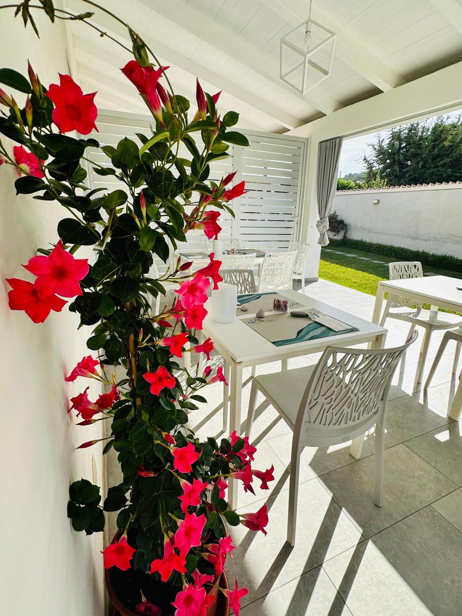 Invilla Bed&Breakfast - Quality Rooms Santa Maria di Castellabate Exteriör bild