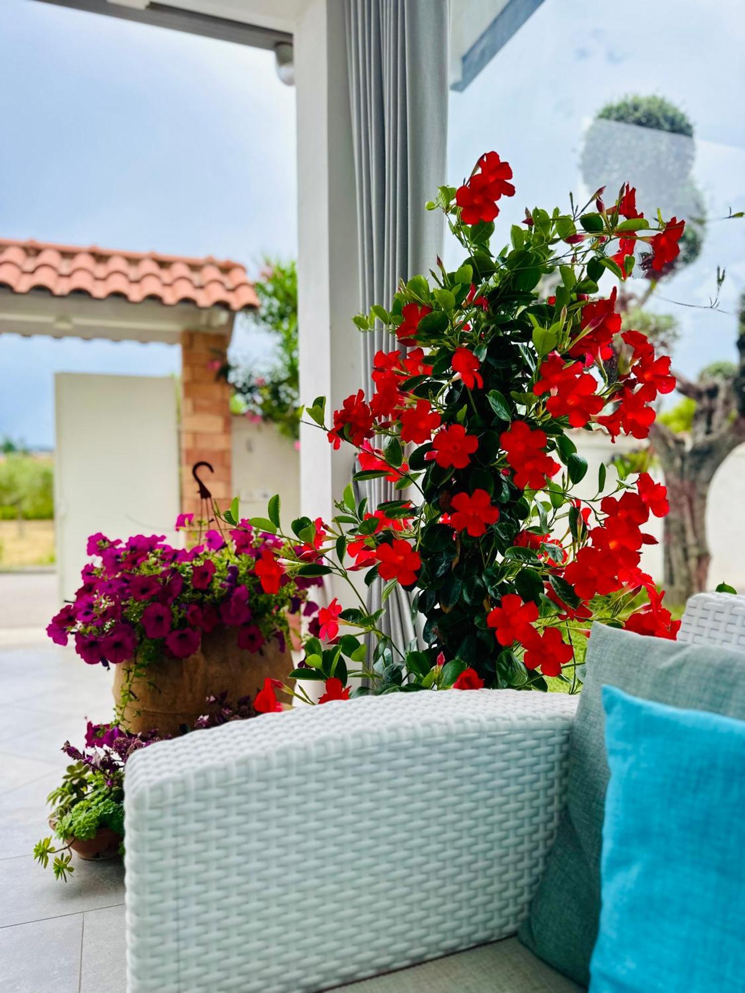 Invilla Bed&Breakfast - Quality Rooms Santa Maria di Castellabate Exteriör bild