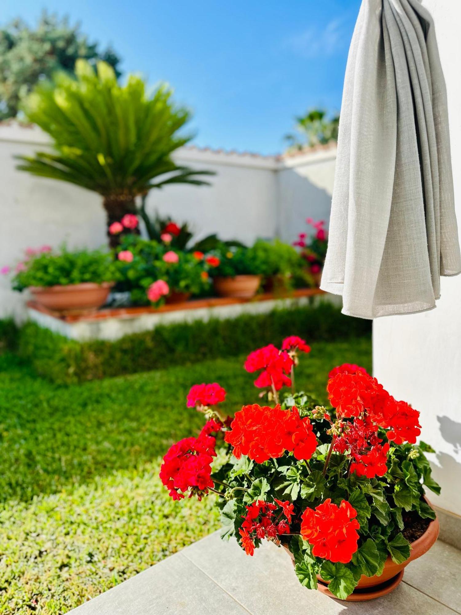 Invilla Bed&Breakfast - Quality Rooms Santa Maria di Castellabate Exteriör bild