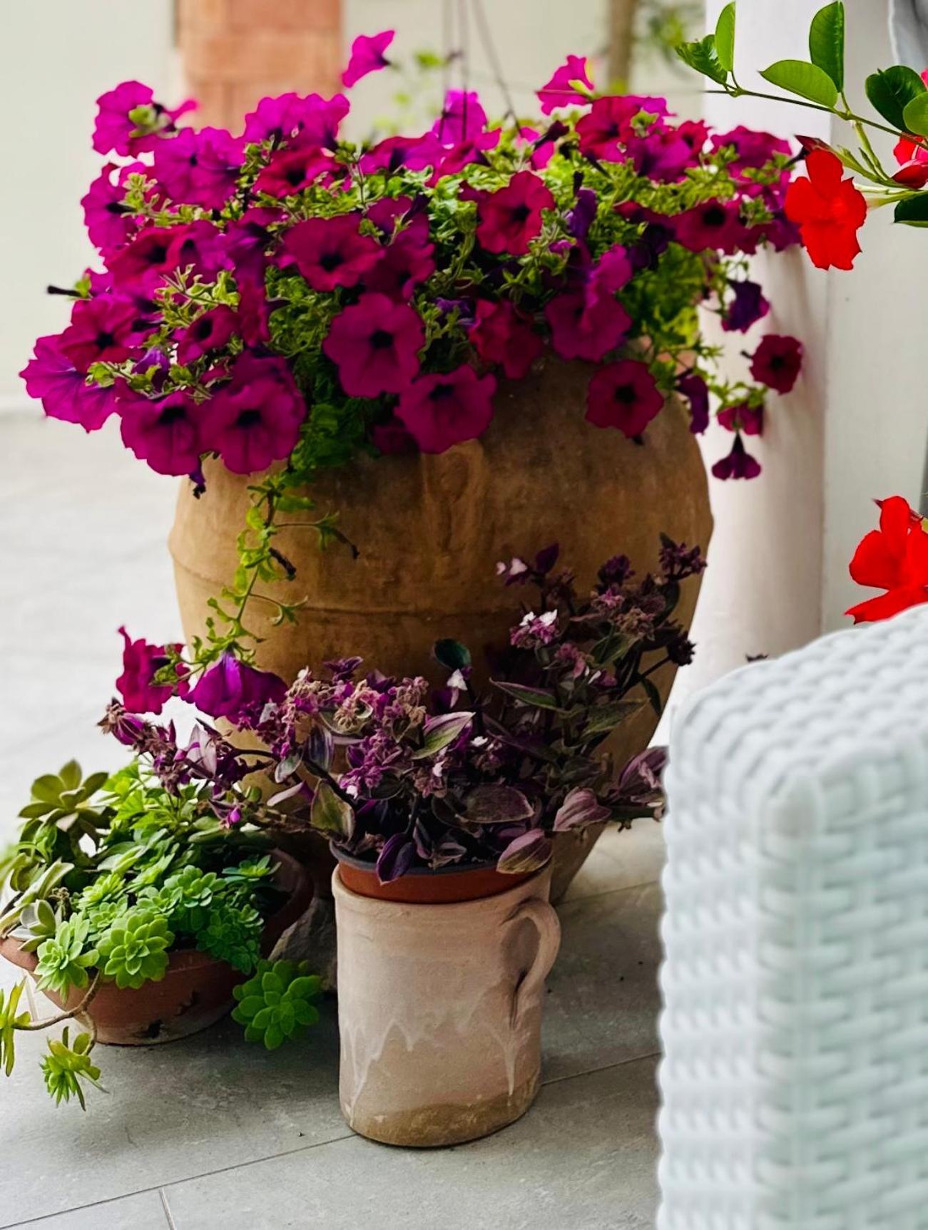 Invilla Bed&Breakfast - Quality Rooms Santa Maria di Castellabate Exteriör bild