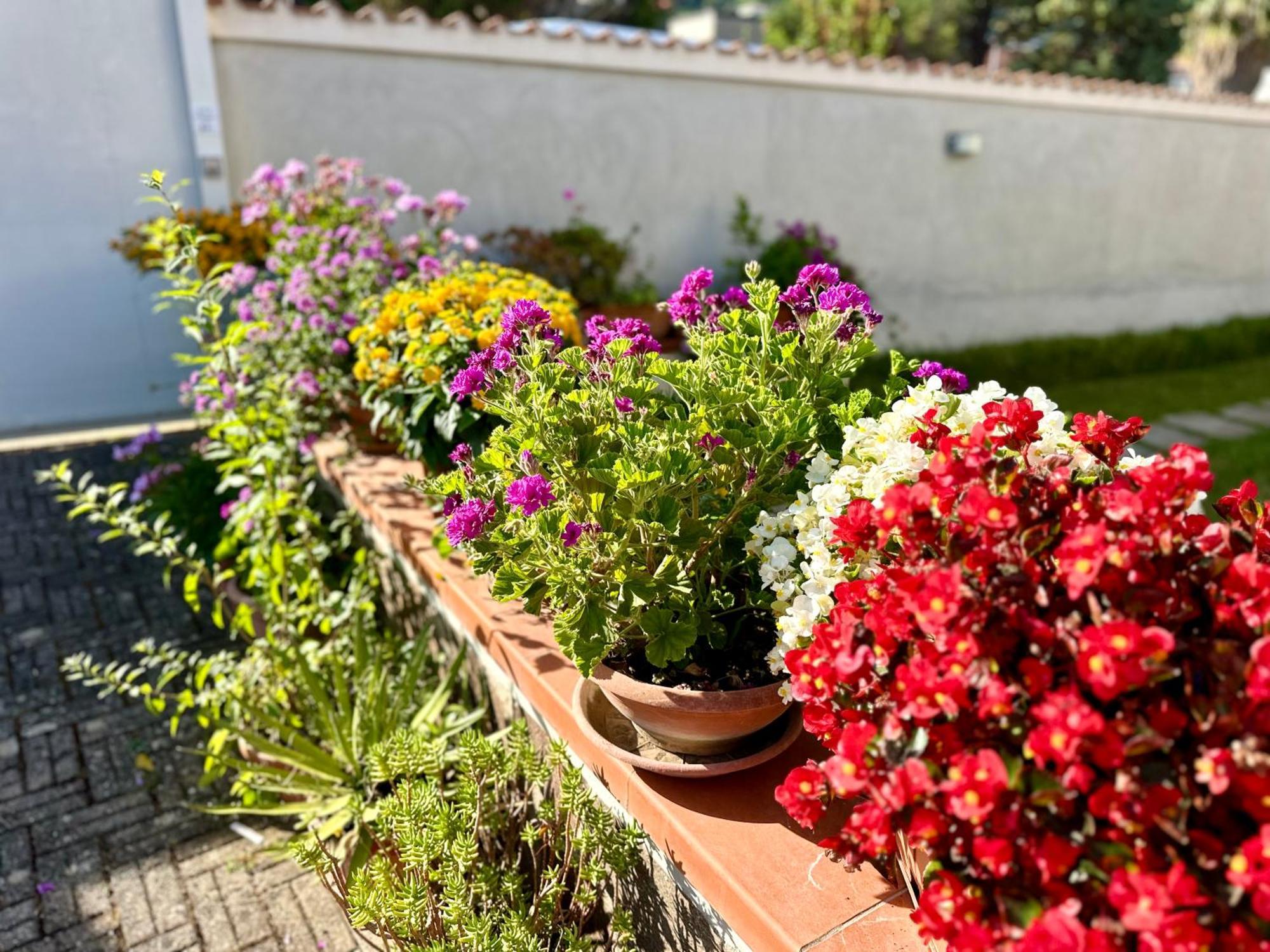 Invilla Bed&Breakfast - Quality Rooms Santa Maria di Castellabate Exteriör bild