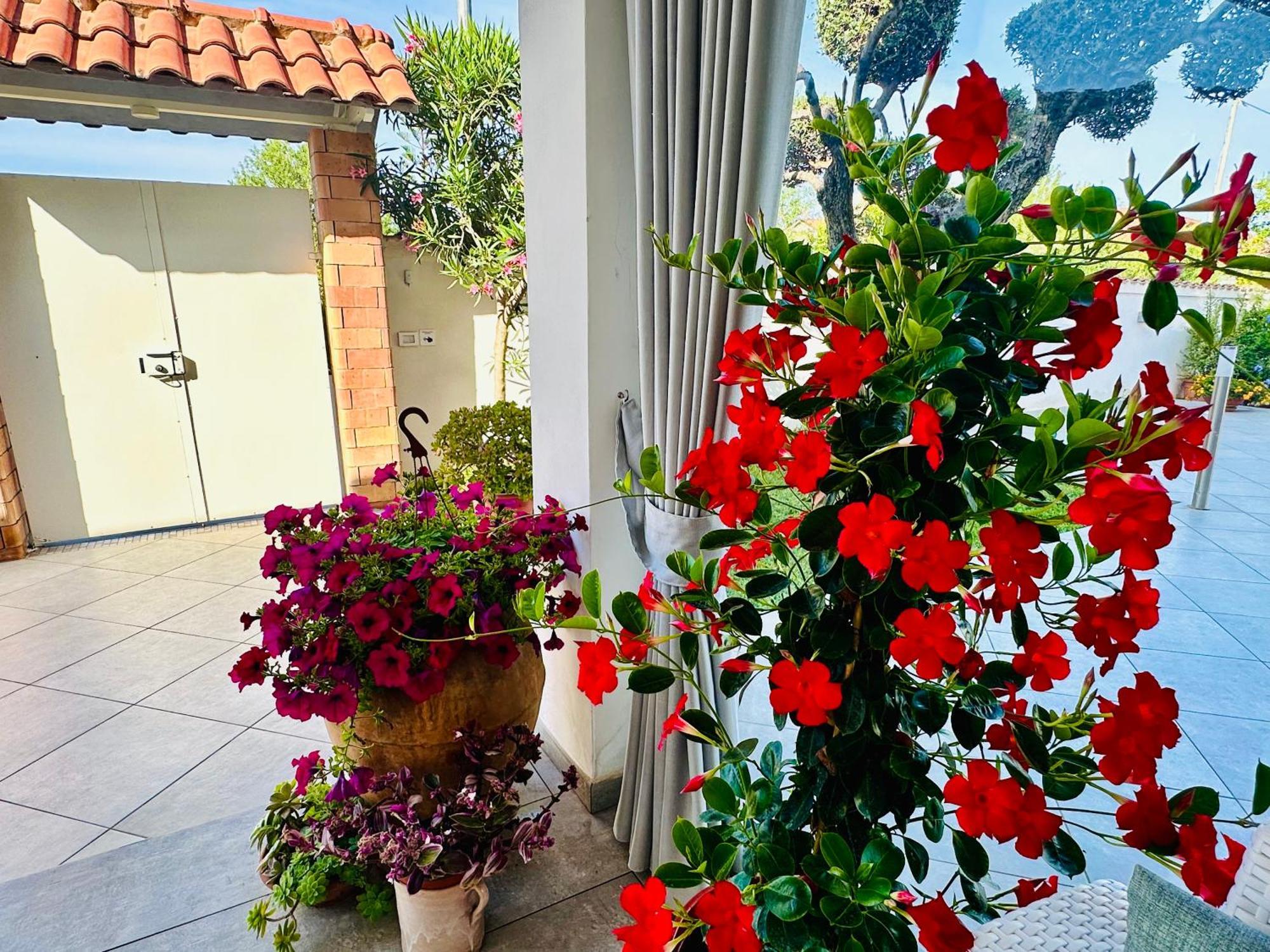 Invilla Bed&Breakfast - Quality Rooms Santa Maria di Castellabate Exteriör bild