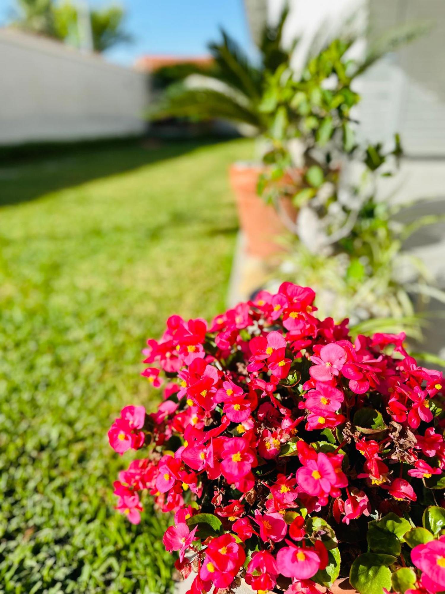 Invilla Bed&Breakfast - Quality Rooms Santa Maria di Castellabate Exteriör bild