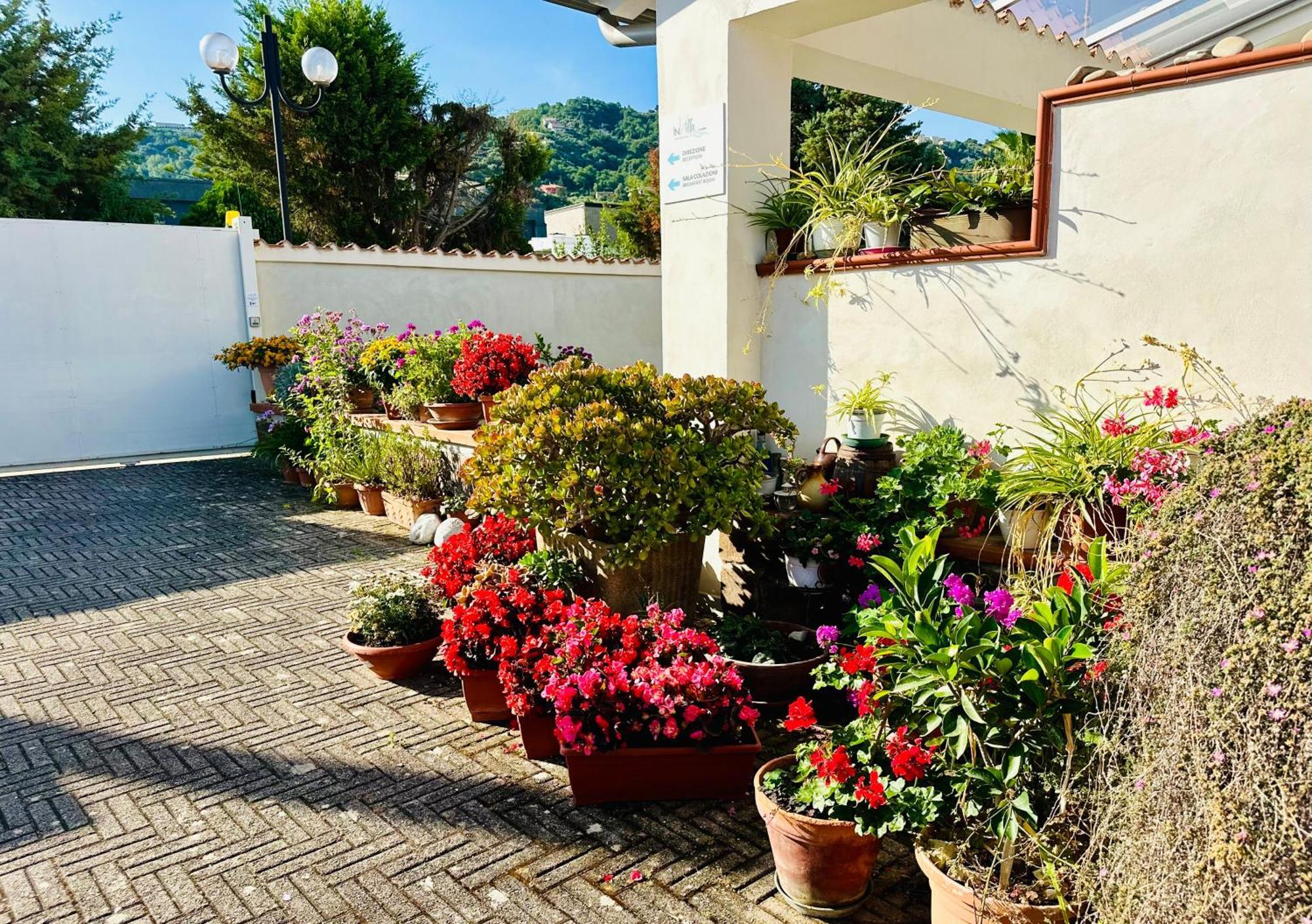 Invilla Bed&Breakfast - Quality Rooms Santa Maria di Castellabate Exteriör bild